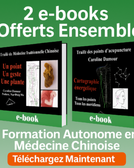 Maîtrisez la médecine chinoise grâce à un programme holistique autonome!