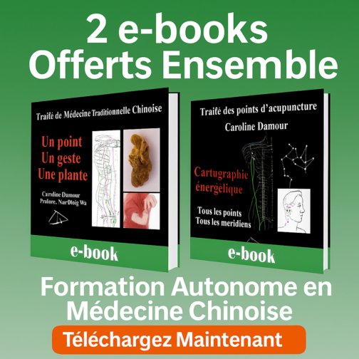 Maîtrisez la médecine chinoise grâce à un programme holistique autonome!