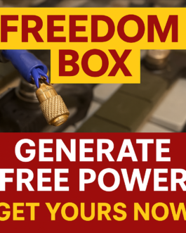 The Freedom Box: Your Personal Money Generator Machine!