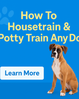 Master Dog Housebreaking: Proven Techniques for a Cleaner Home!