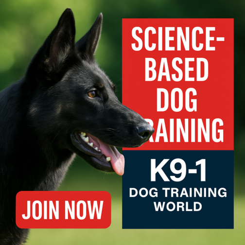 Elevate Dog Training Skills with K9-1's Expert-Led Online Courses!
