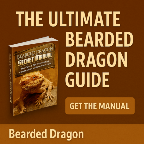 Master Bearded Dragon Care with the Ultimate Secret Manual!