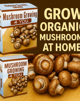 Grow Organic Mushrooms at Home with Mushroom Growing 4 You!