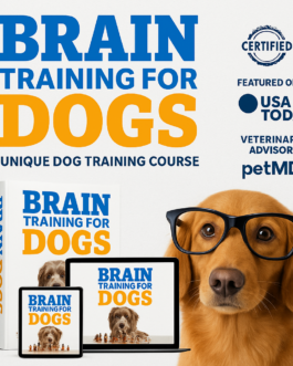 Transform Your Dog’s Behavior with Brain Training for Dogs Today!