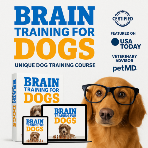 Transform Your Dog’s Behavior with Brain Training for Dogs Today!