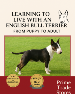 Your Complete Bull Terrier Care Guide – Puppy to Adult Journey!
