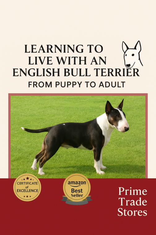 Your Complete Bull Terrier Care Guide – Puppy to Adult Journey!