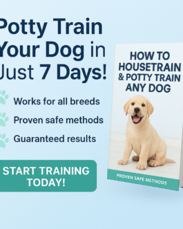 Quickly Potty Train Any Dog with Proven 7-Day Method!