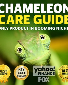 Discover the Ultimate Chameleon Care Guide for Healthy, Happy Pets!