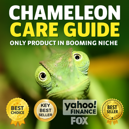 Discover the Ultimate Chameleon Care Guide for Healthy, Happy Pets!