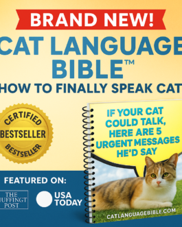 Cat Language Bible Reveals Secrets to Communicate & Bond with Cats!