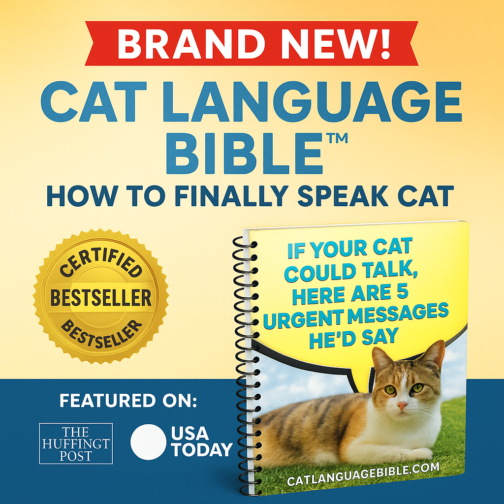 Cat Language Bible Reveals Secrets to Communicate & Bond with Cats!