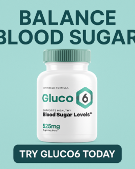 Gluco6: 100% Natural Blood Sugar Support with GMP Certified Quality!