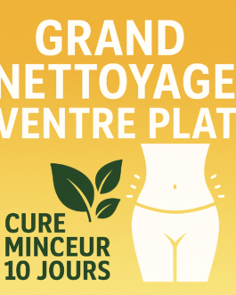 Flat Belly Flush : la solution française détox 10 jours pour brûler les graisses !