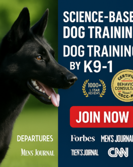 Unlock Proven Dog Training: K9-1’s Step-by-Step Expert System Online!