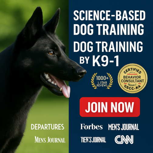 Unlock Proven Dog Training: K9-1’s Step-by-Step Expert System Online!