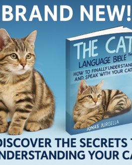 Learn To Understand And Speak The Unique Language of Cats!