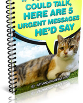 Brand New! Cat Language Bible (TM) How to Finally Speak Cat!