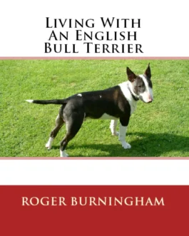Master the Art of Raising an English Bull Terrier: From Puppyhood to Adulthood!