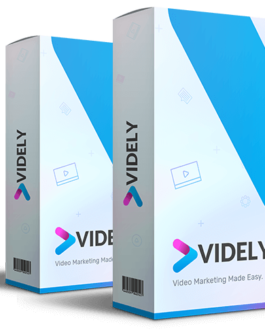 Videly: Achieve Page #1 Rankings on Google & YouTube Instantly!